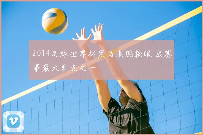 2014足球世界杯黑马表现抢眼 成赛事最大看点之一